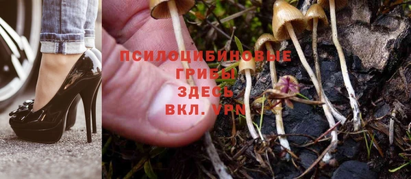 молекула духа Киренск