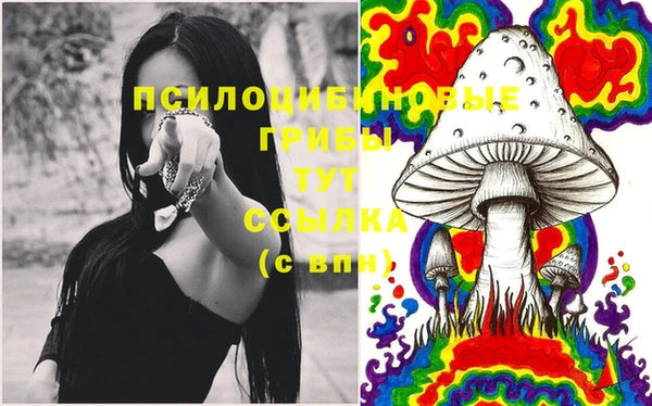 mdma Кинешма